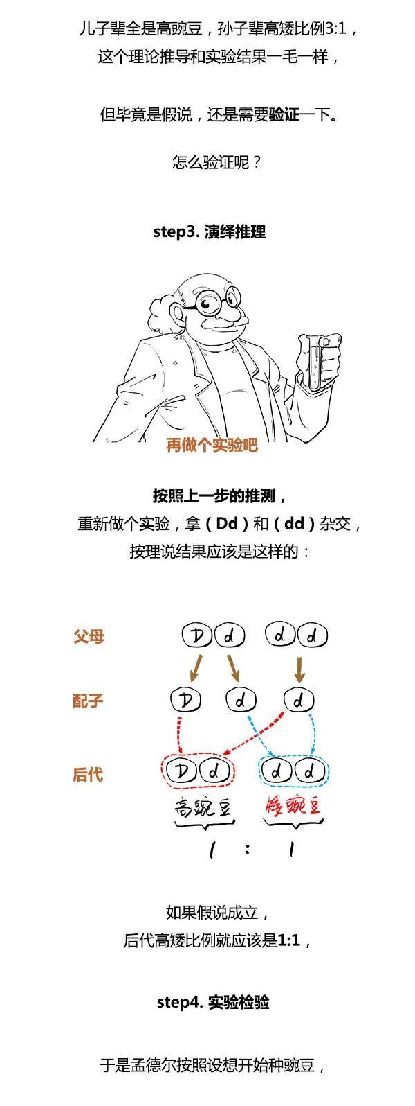 2024年10月 第7页